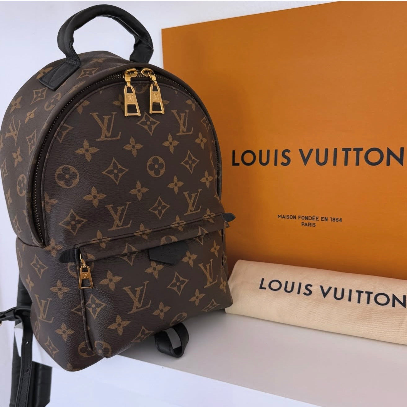 Louis Vuitton Palm Springs PM