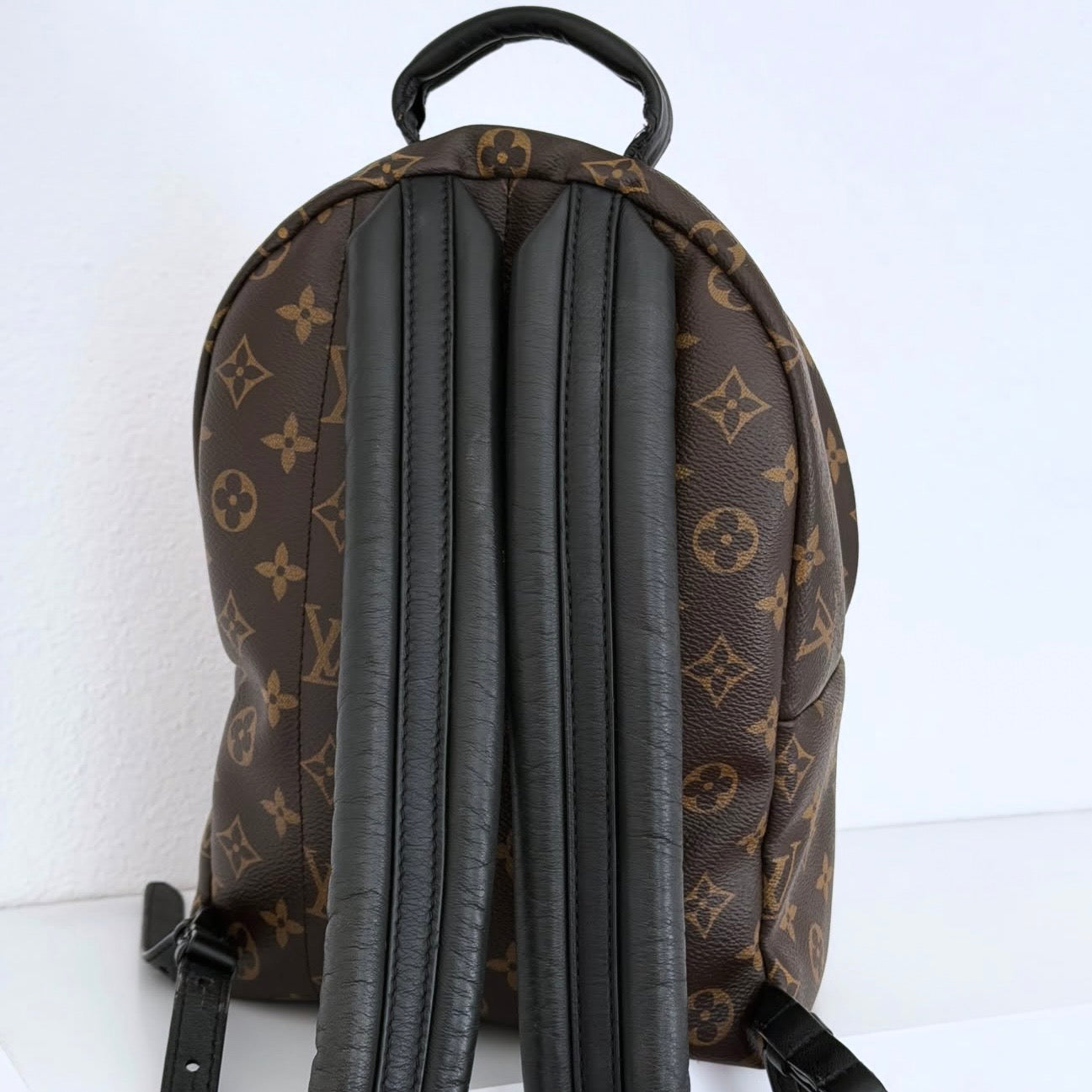 Louis Vuitton Palm Springs PM