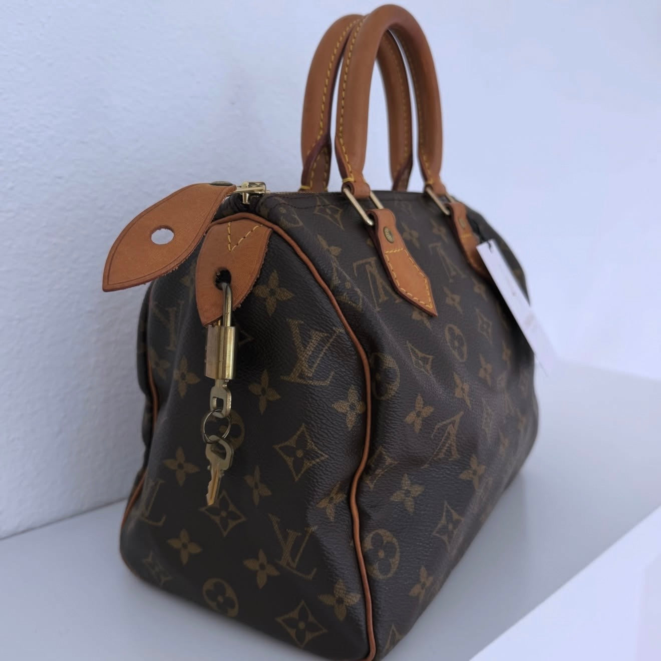 Louis Vuitton Speedy 25 Canvas Monograma