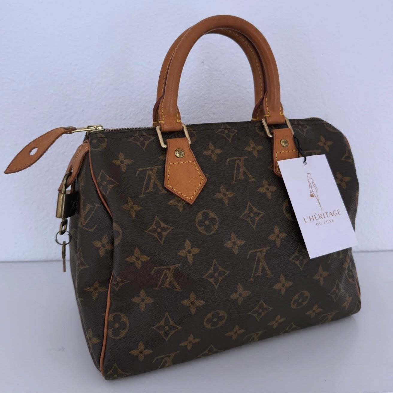 Louis Vuitton Speedy 25 Canvas Monograma