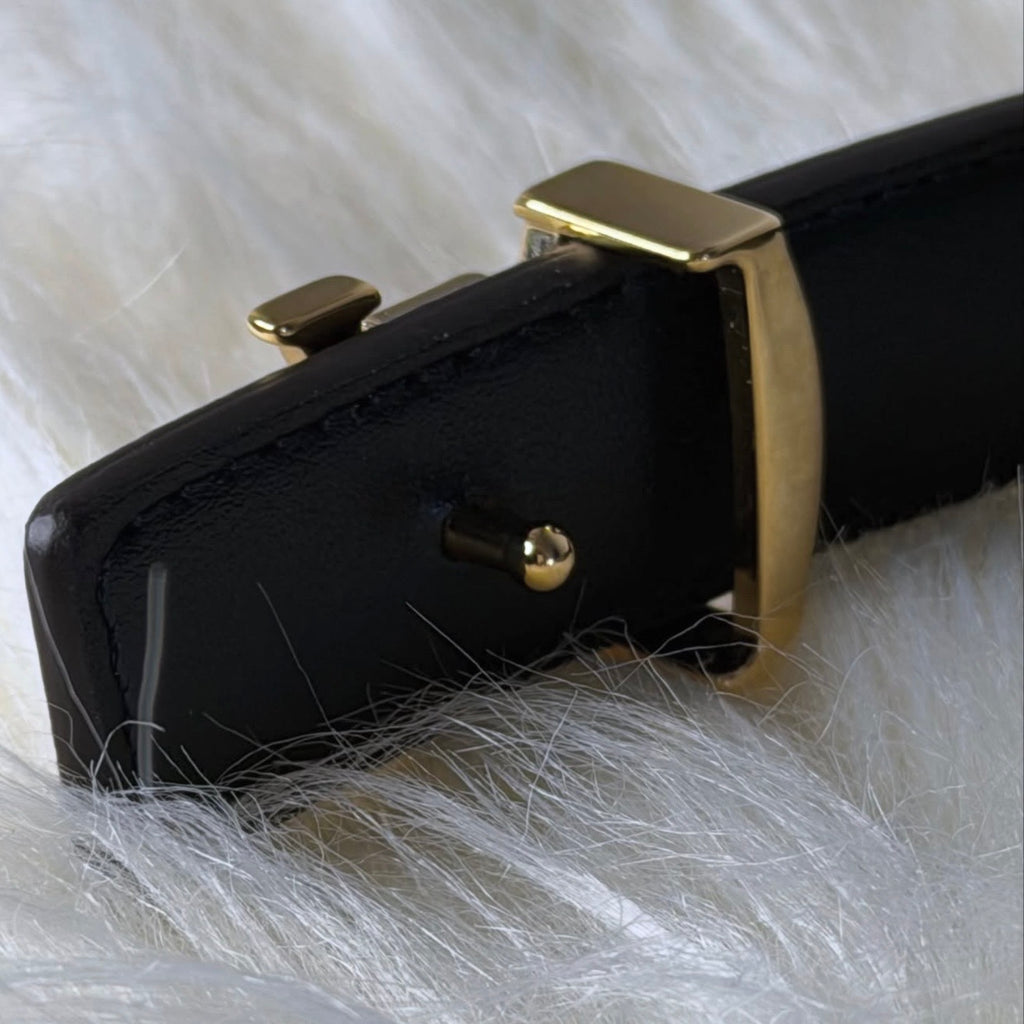 Cinto Louis Vuitton Full Set