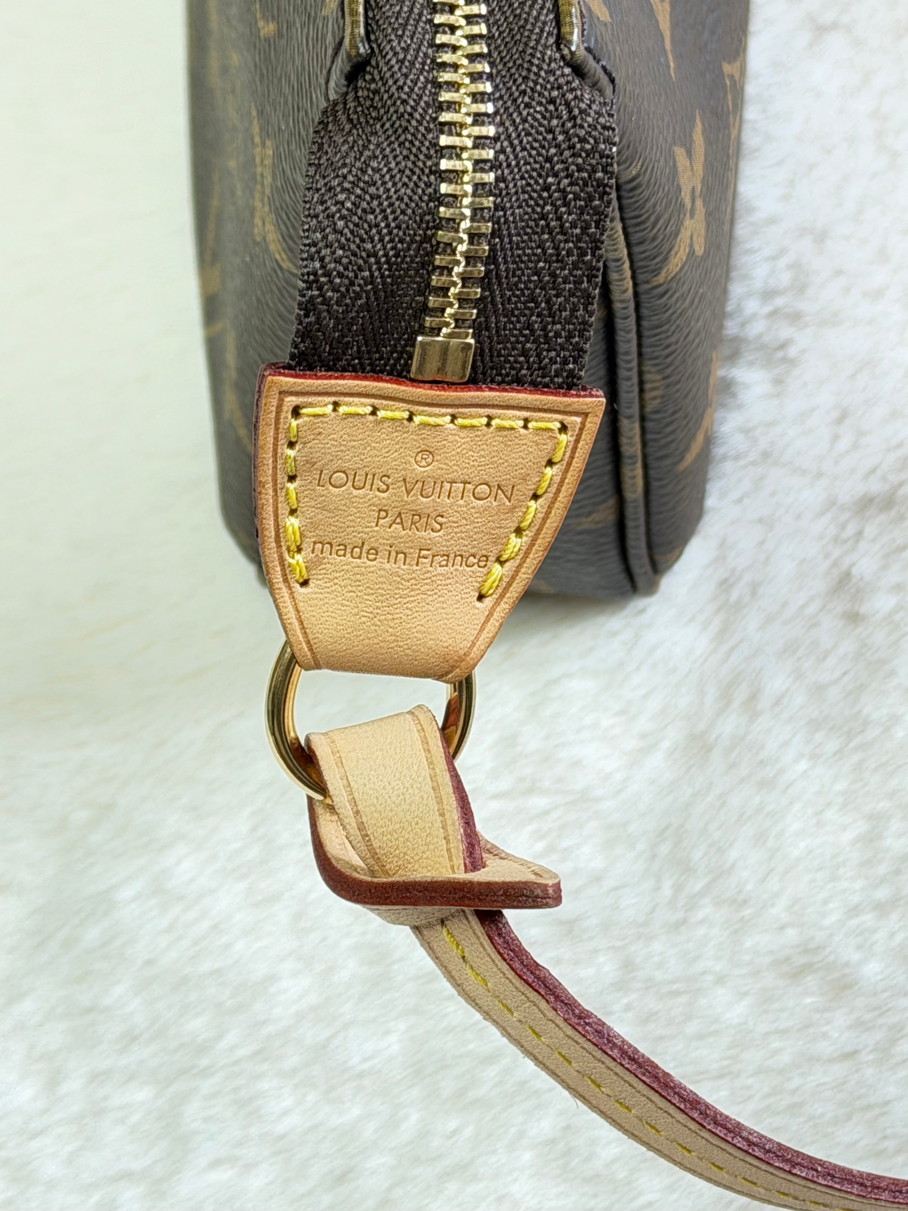 Louis Vuitton Pochette Accessoires Full Set