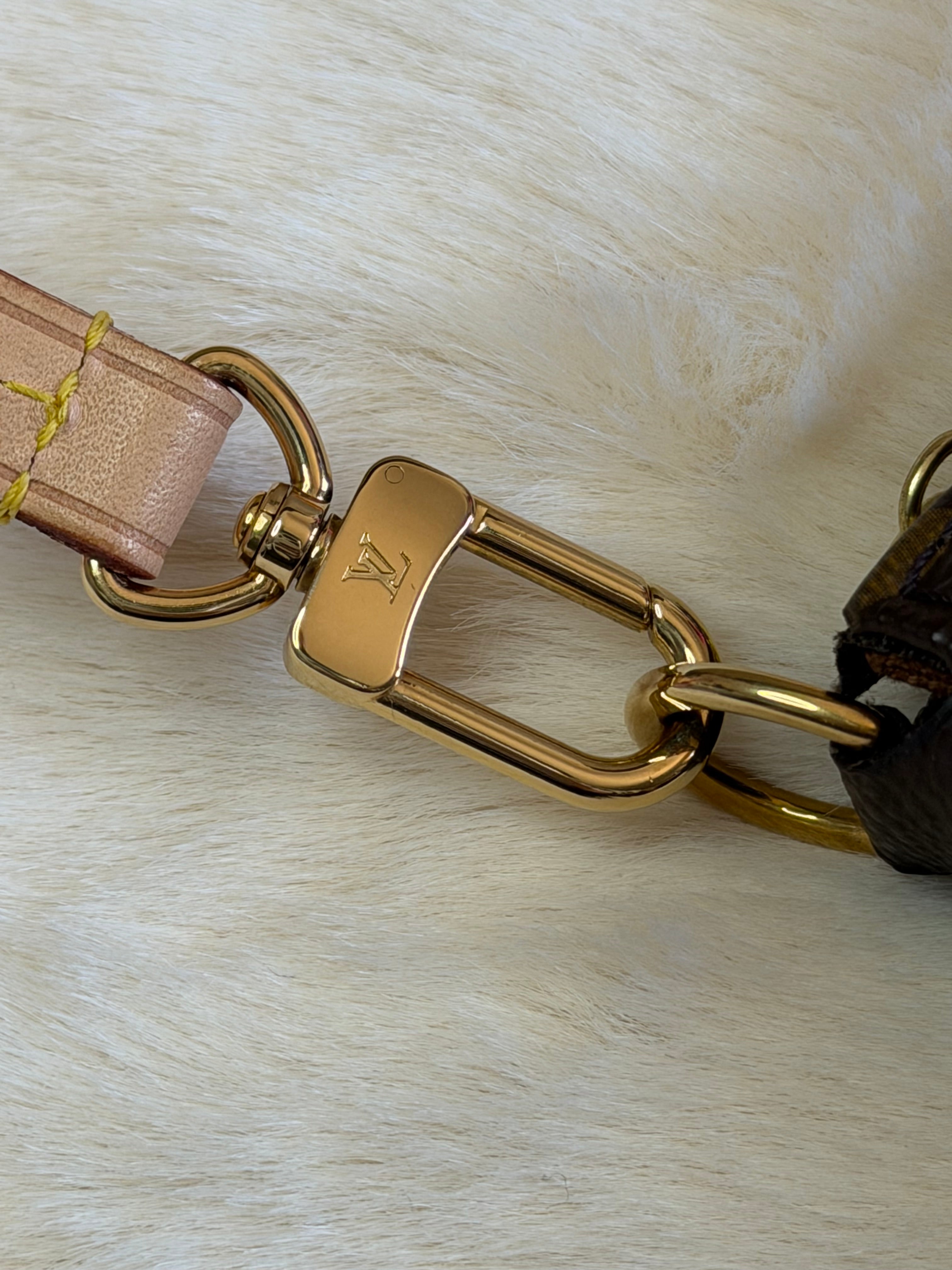 Louis Vuitton Pochette Accessoires Full Set